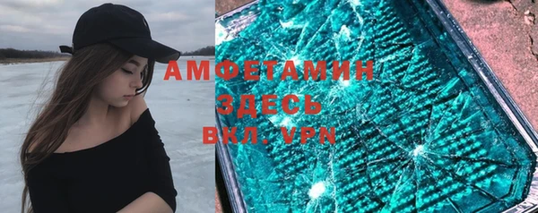 сатива Балахна