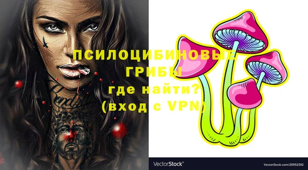 сатива Балахна