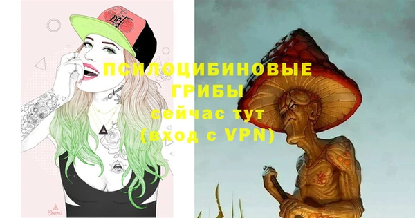 сатива Балахна